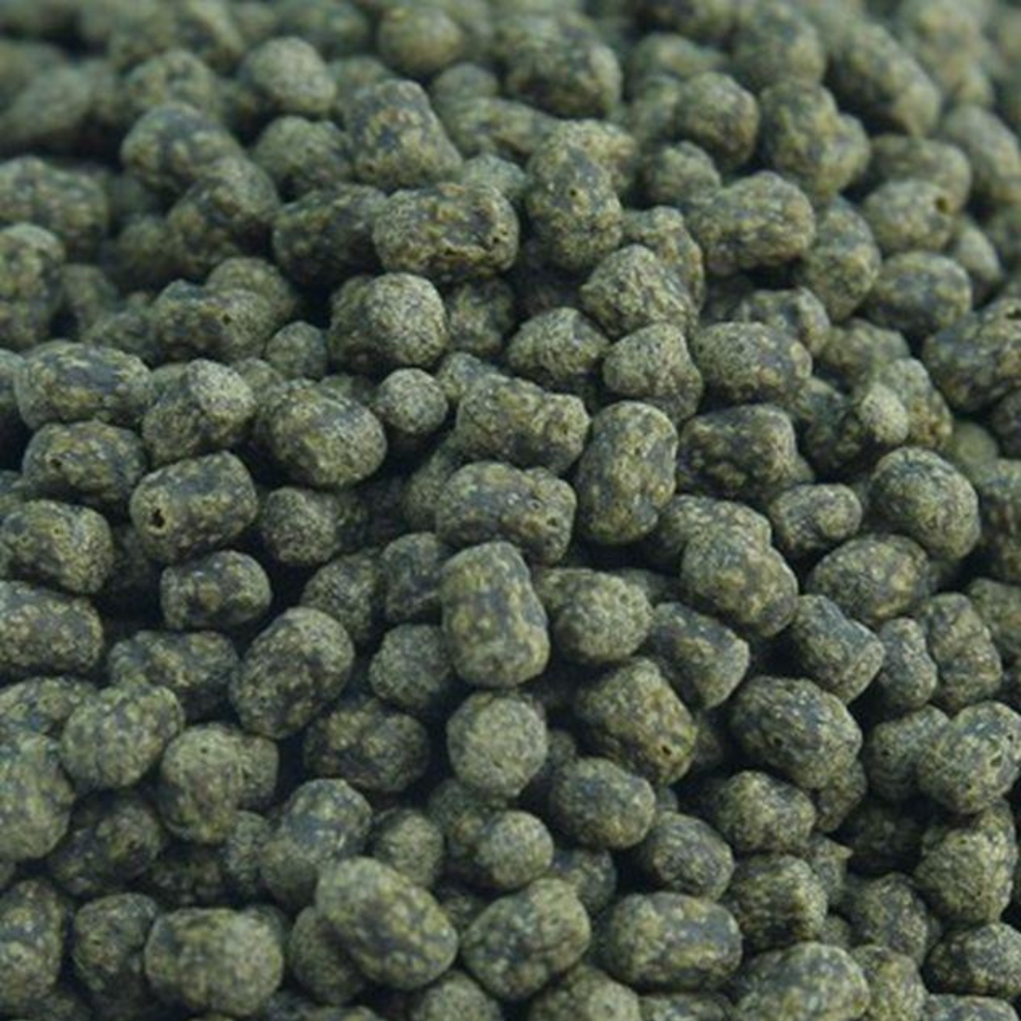Adult Turtle Pellets – 60 g 🐢