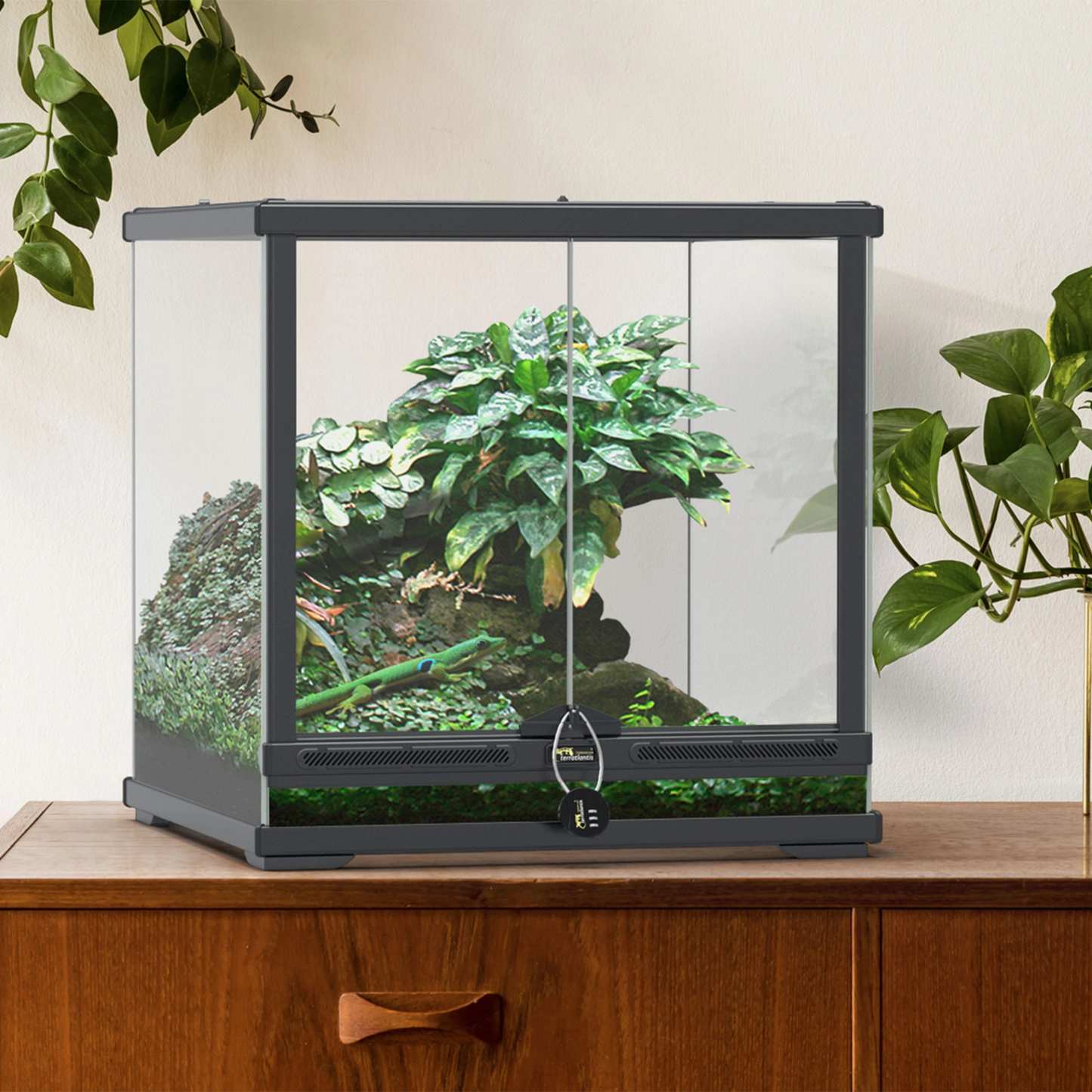 🦎 Terrarium Smart Line
