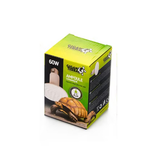 Lâmpada de Cerâmica 💡