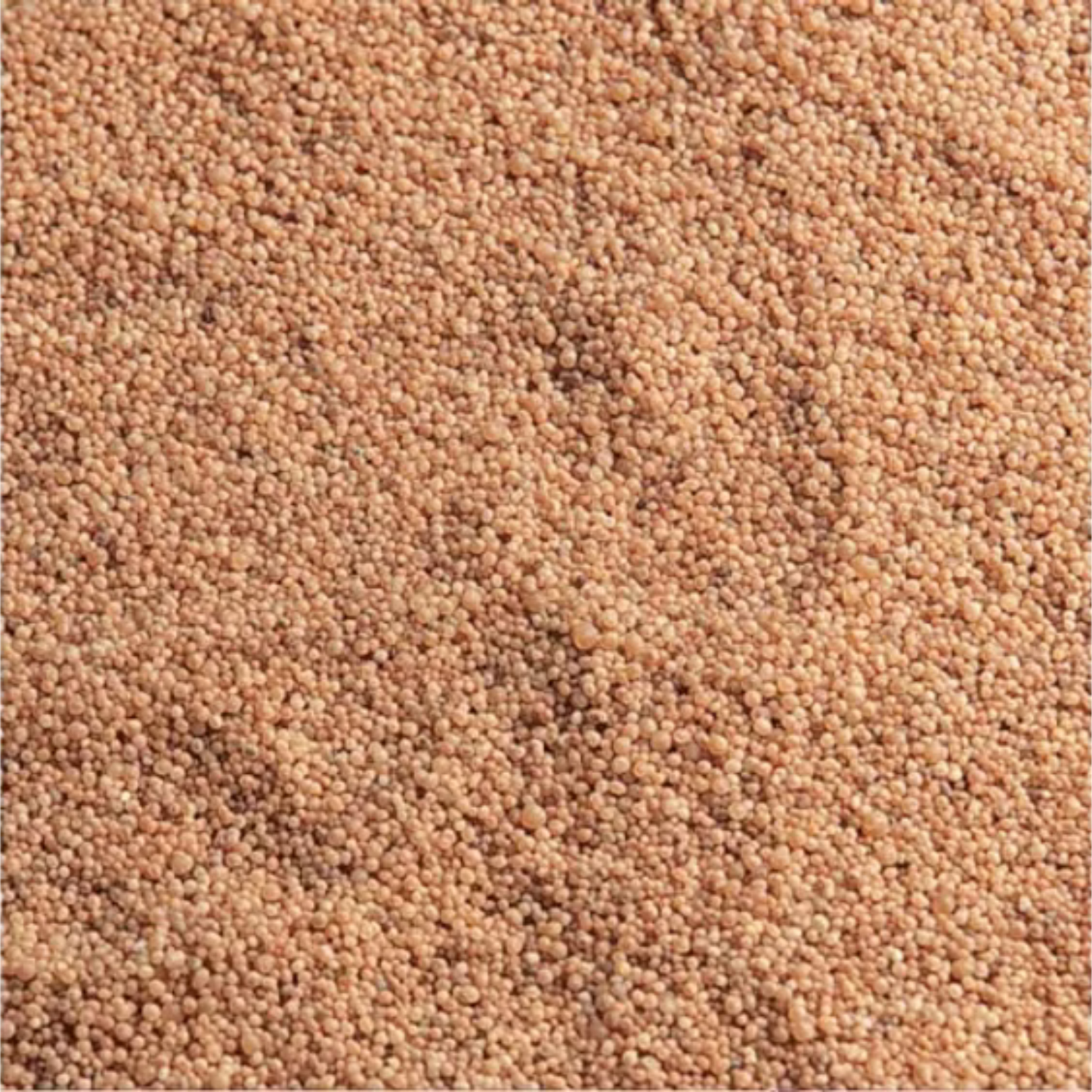 Flamingo Areão Caviar – 10 kg