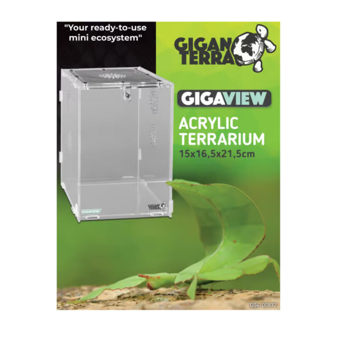 Terrário de Acrílico