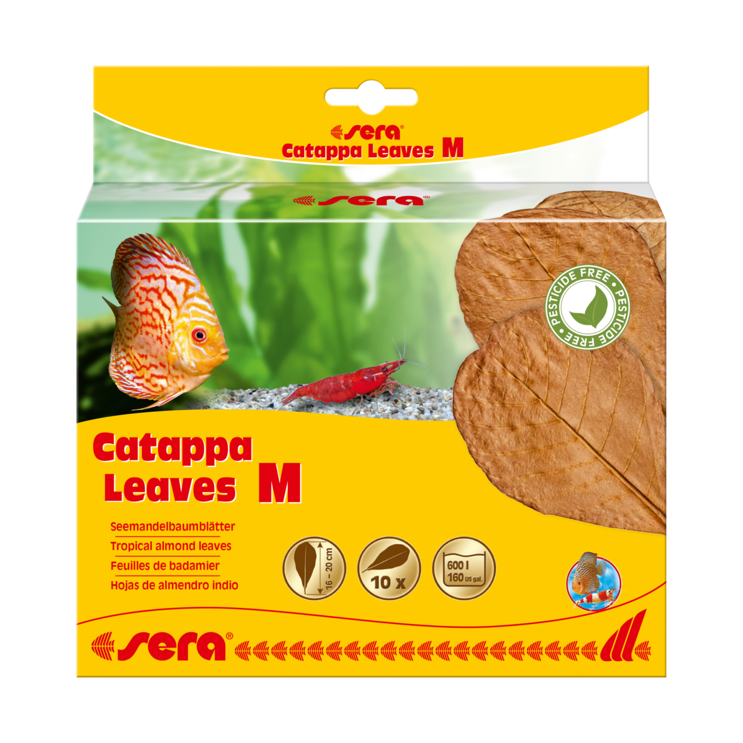 Sera Catappa Leaves