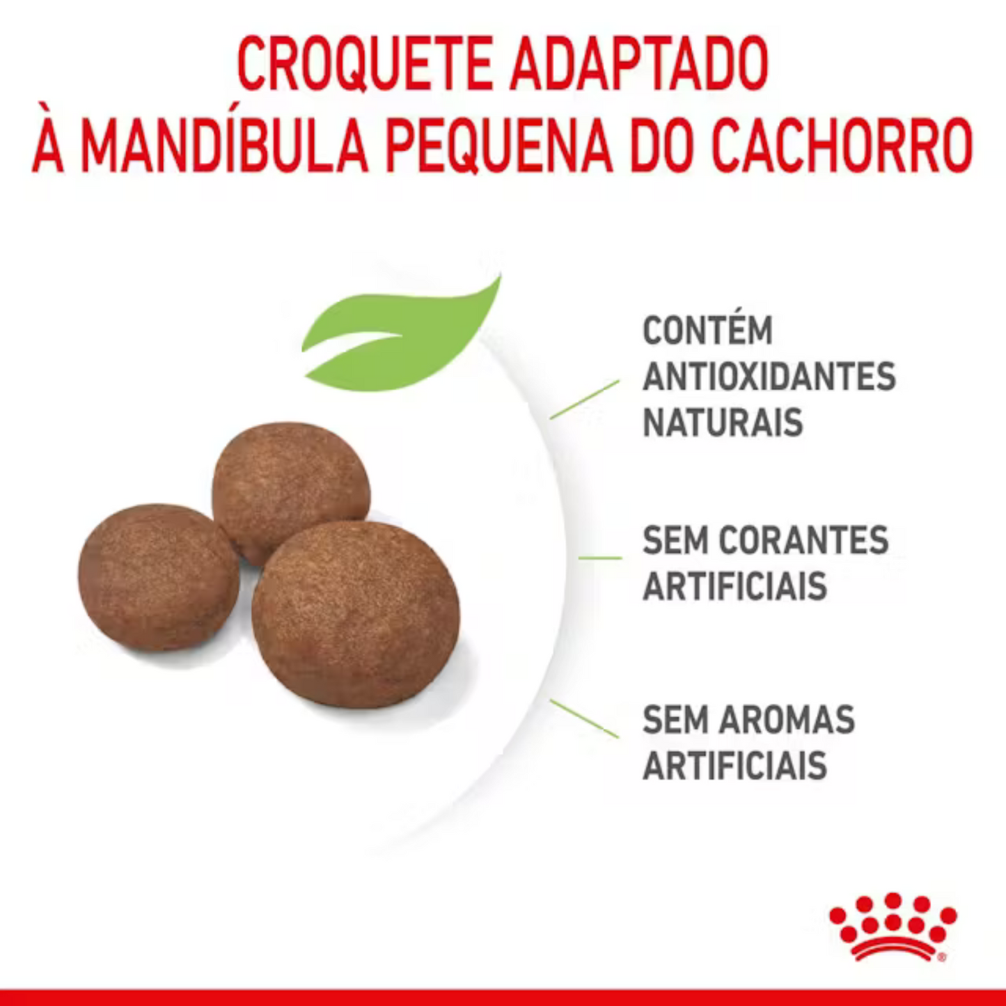 Royal Canin Medium Puppy