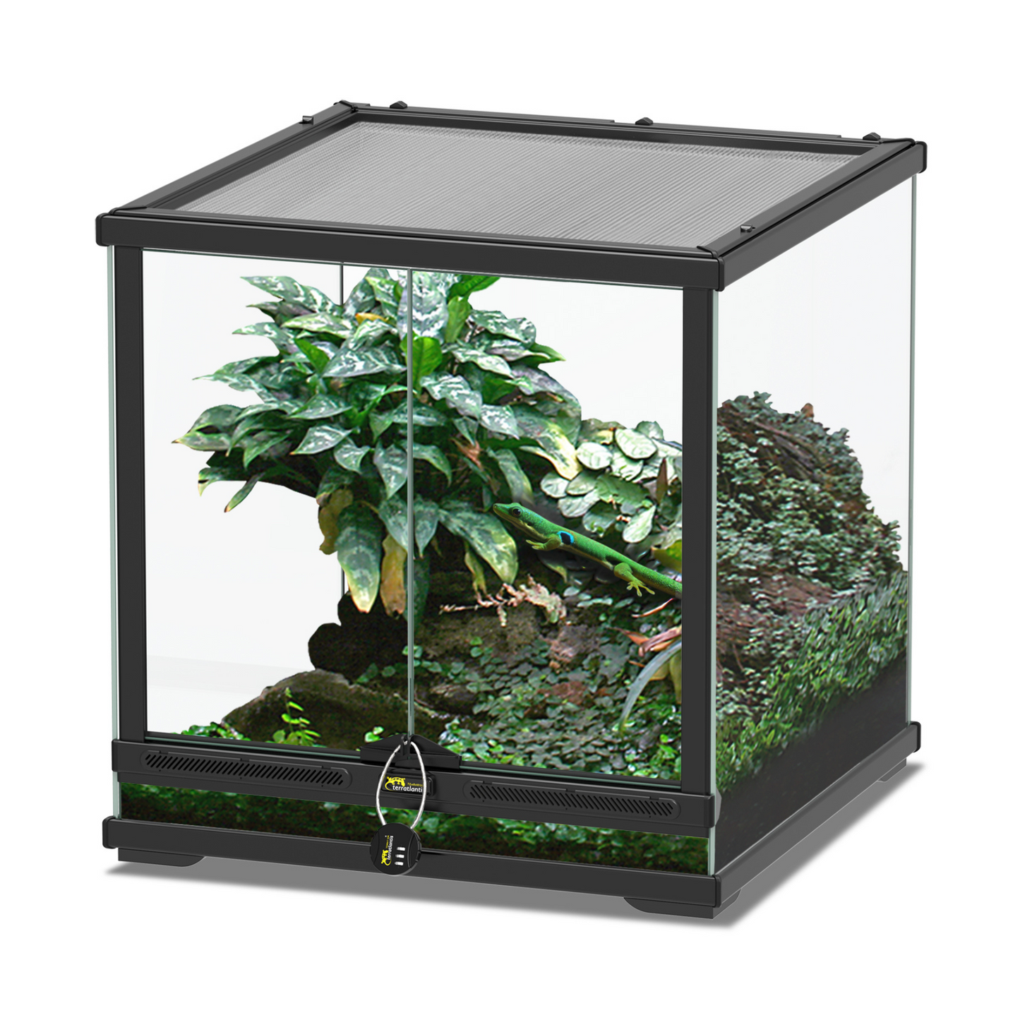🦎 Terrarium Smart Line