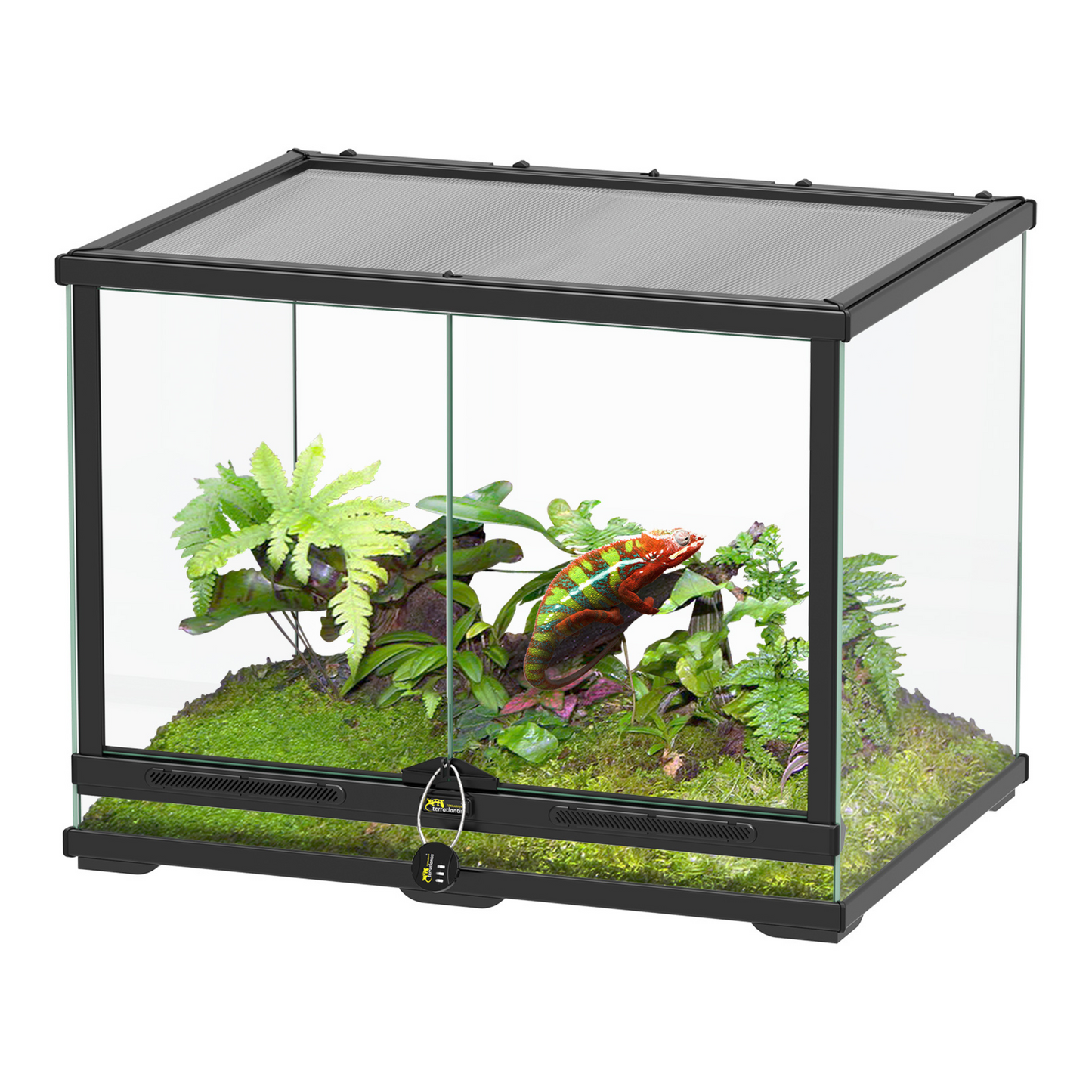 🦎 Terrarium Smart Line