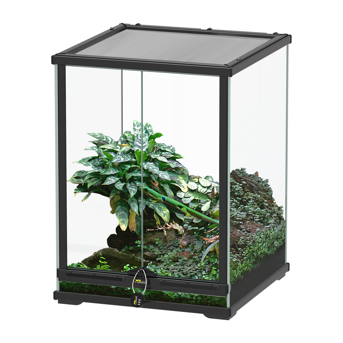🦎 Terrarium Smart Line