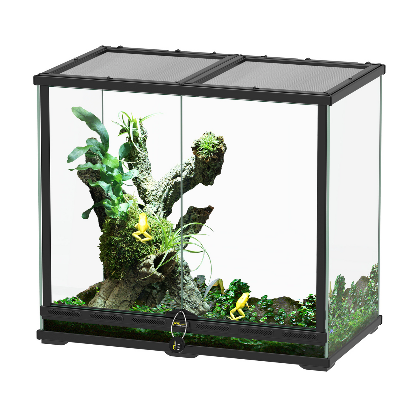 🦎 Terrarium Smart Line