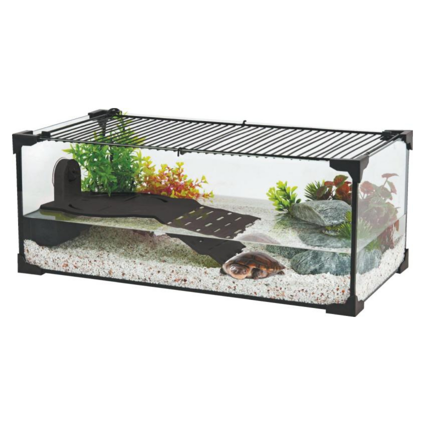 Tartarugueira Karapas Pro 60 cm - Zolux 🐢