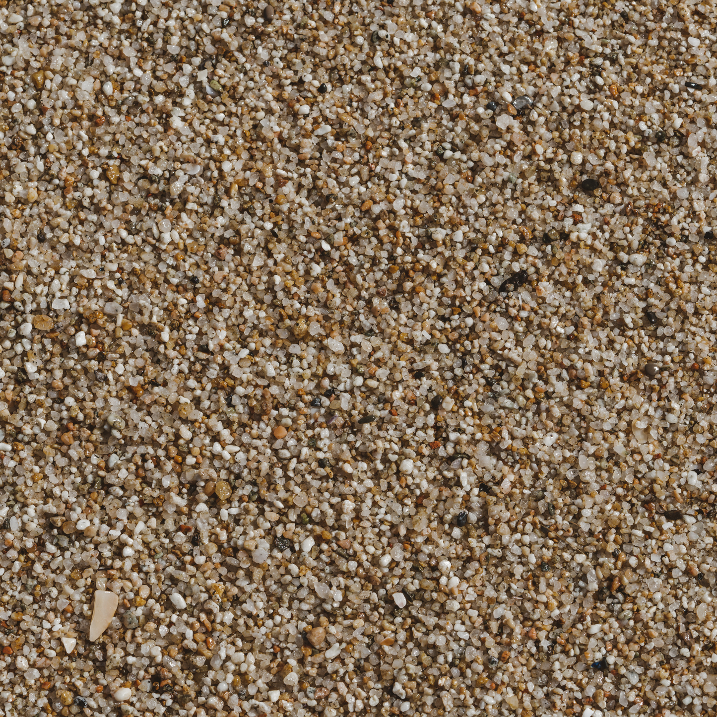 Substrato para Aquário – Areão Escuro 1-2 mm – 10 kg 🐟