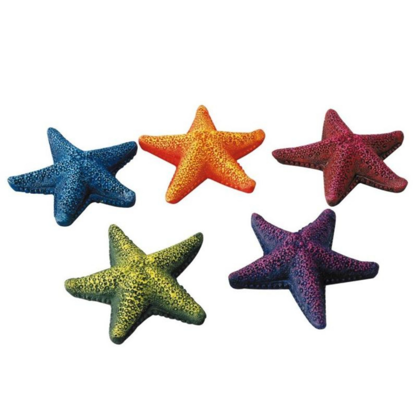 Decoração Estrela-do-mar ⭐🐚