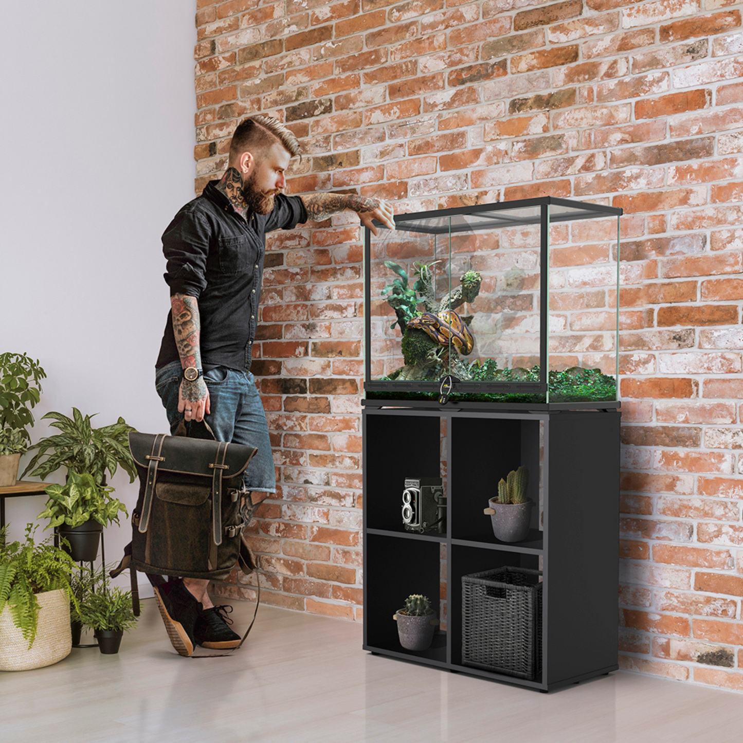 🦎 Terrarium Smart Line