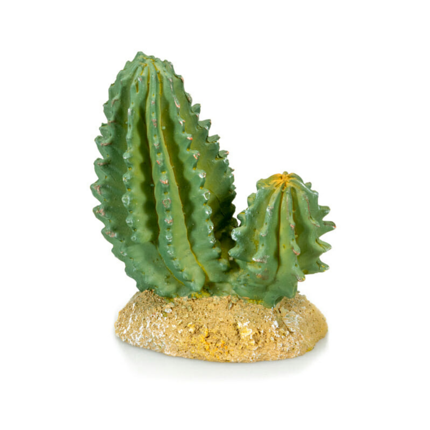 Cactus 4