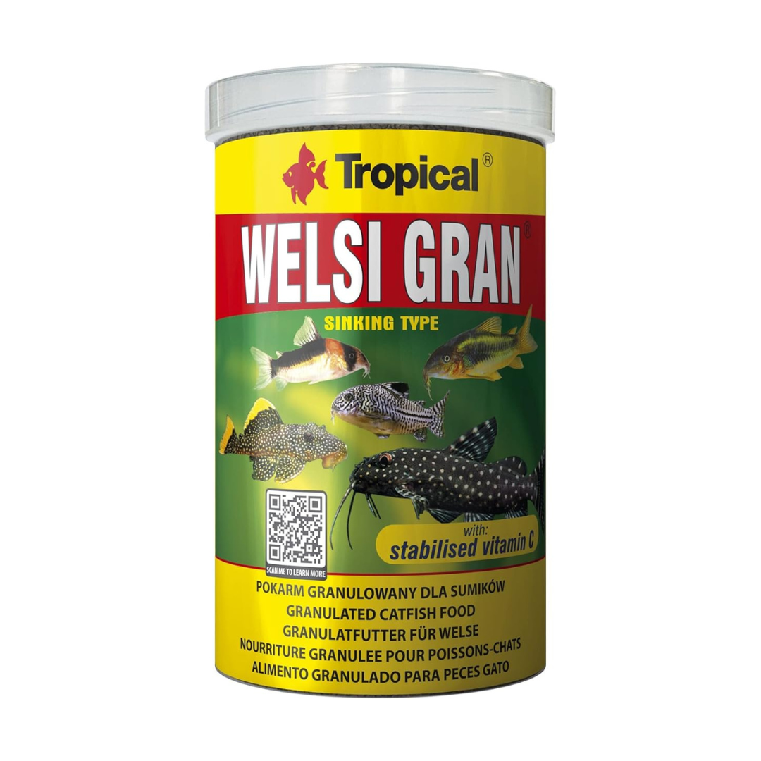 Tropical Welsi Gran