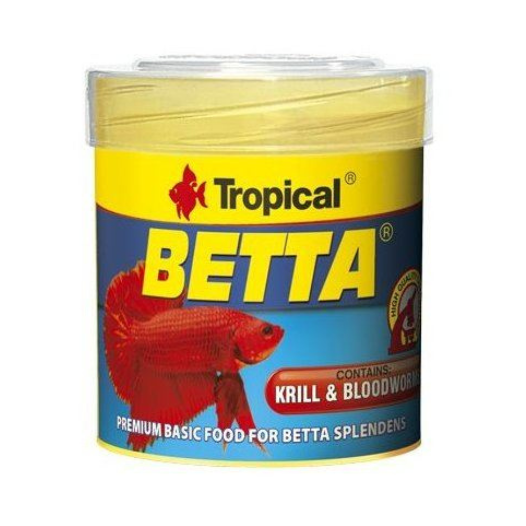 Tropical Betta