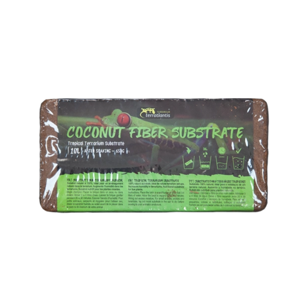Substrato Fibra de Coco 🥥