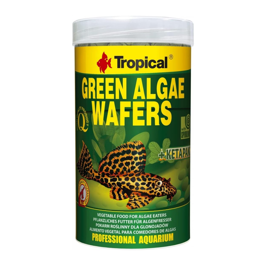 Tropical Green Algae Wafers