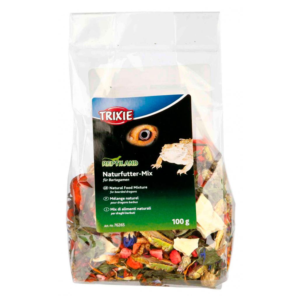Mistura natural para dragões barbudos