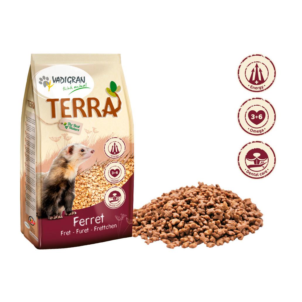 Alimento premium para furões