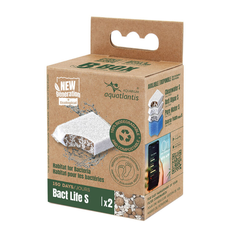 Recarga b box bact life s
