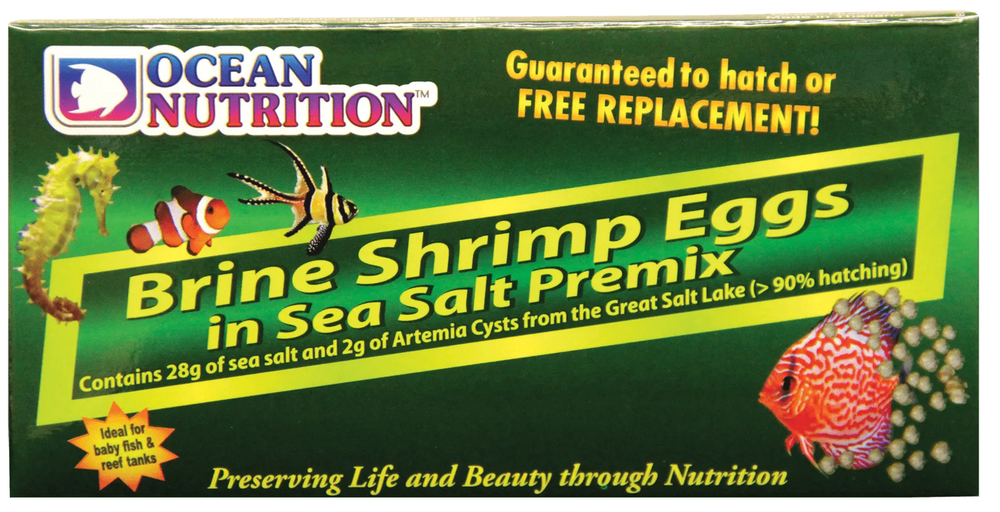 Ovos de camarão em salmoura- Brine Shrimp Eggs 50g