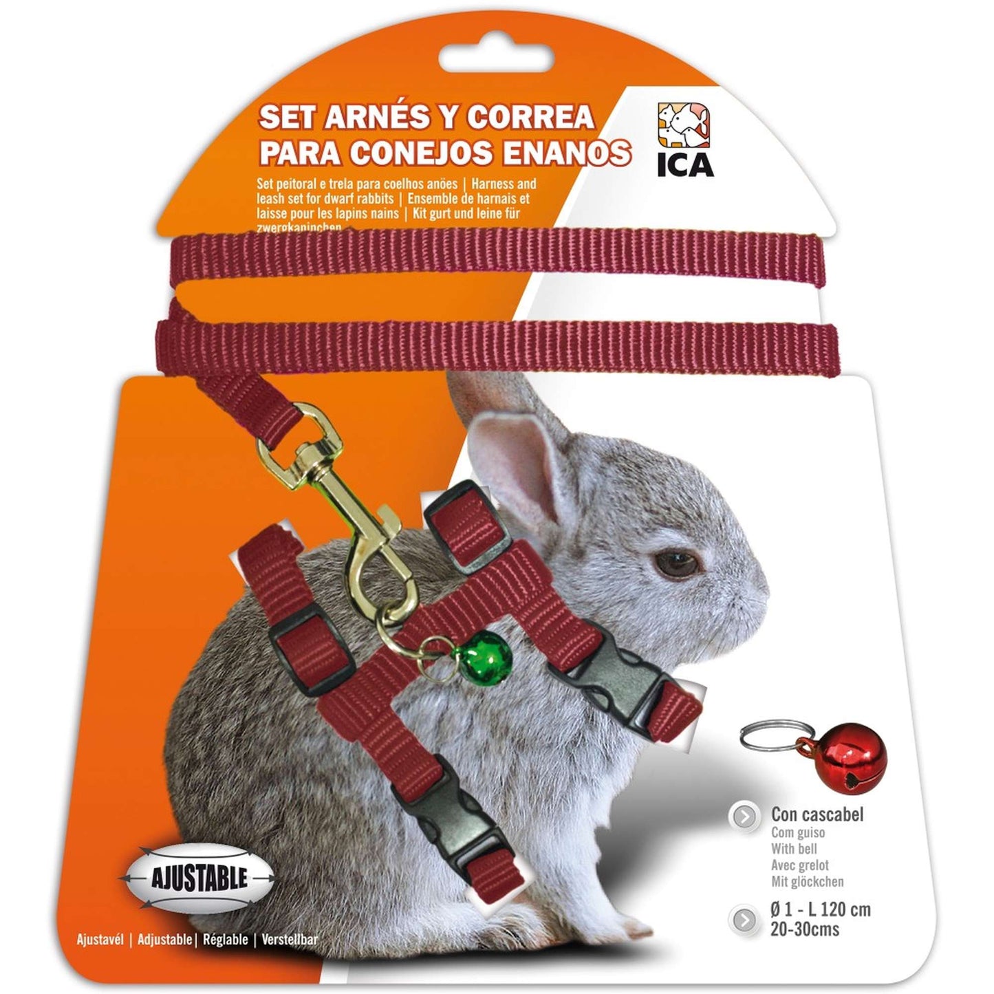 Conjunto de coleira e guia para coelhos anões 🐰