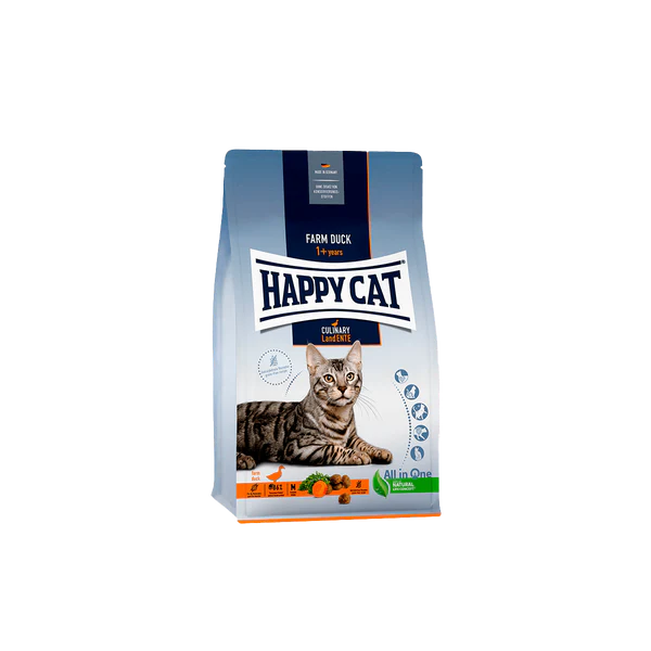 Happy cat adult Farm Duck- Adulto pato