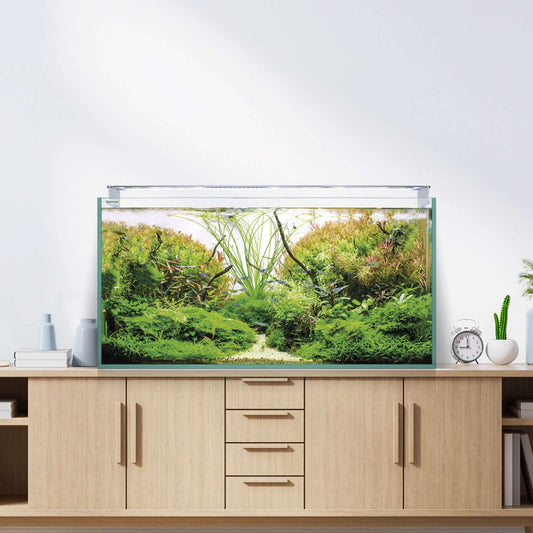 Kit Aquascape RGB pro Extra-clear (226L) 🌱
