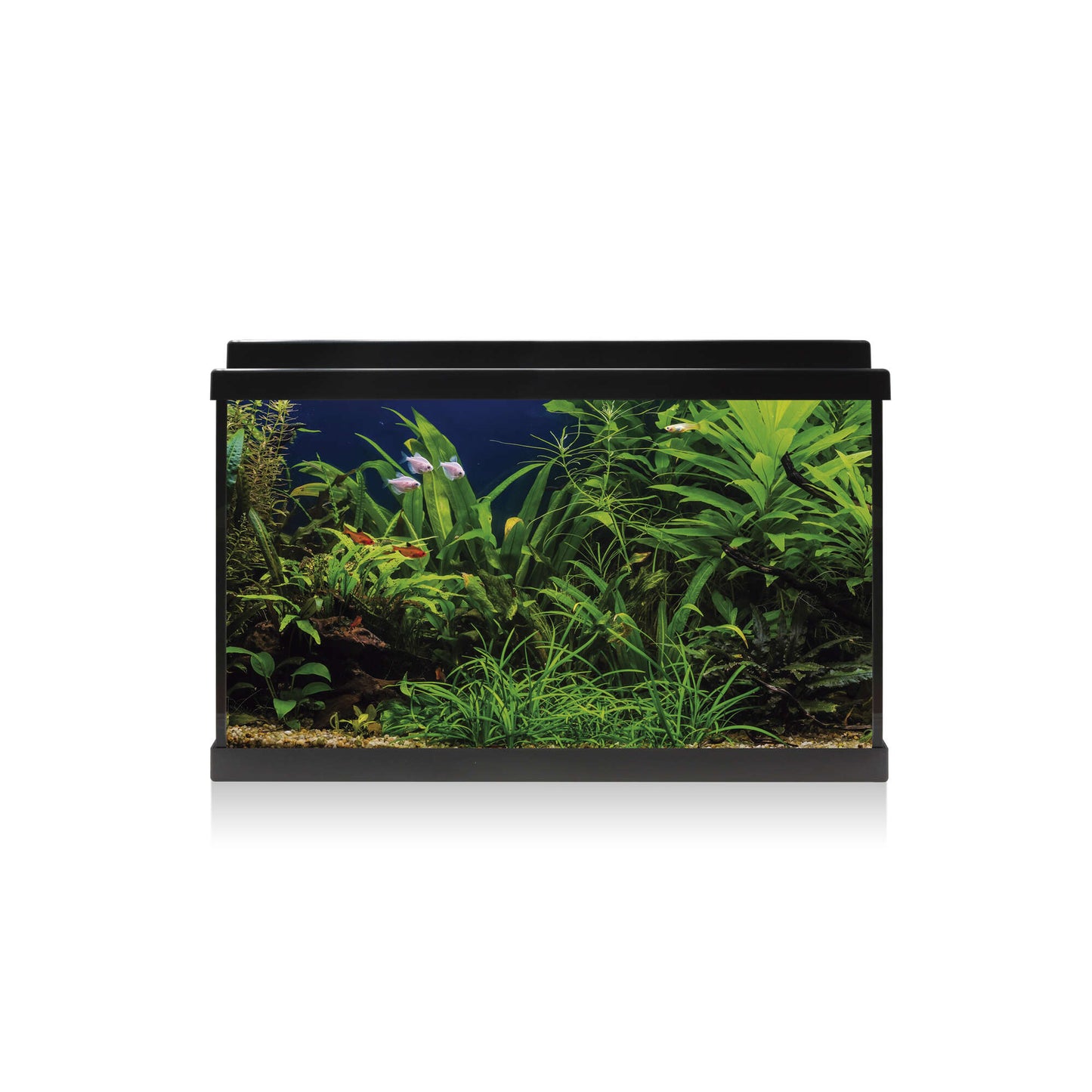 Aquário Kit AQUA LED 64L Preto 🐠