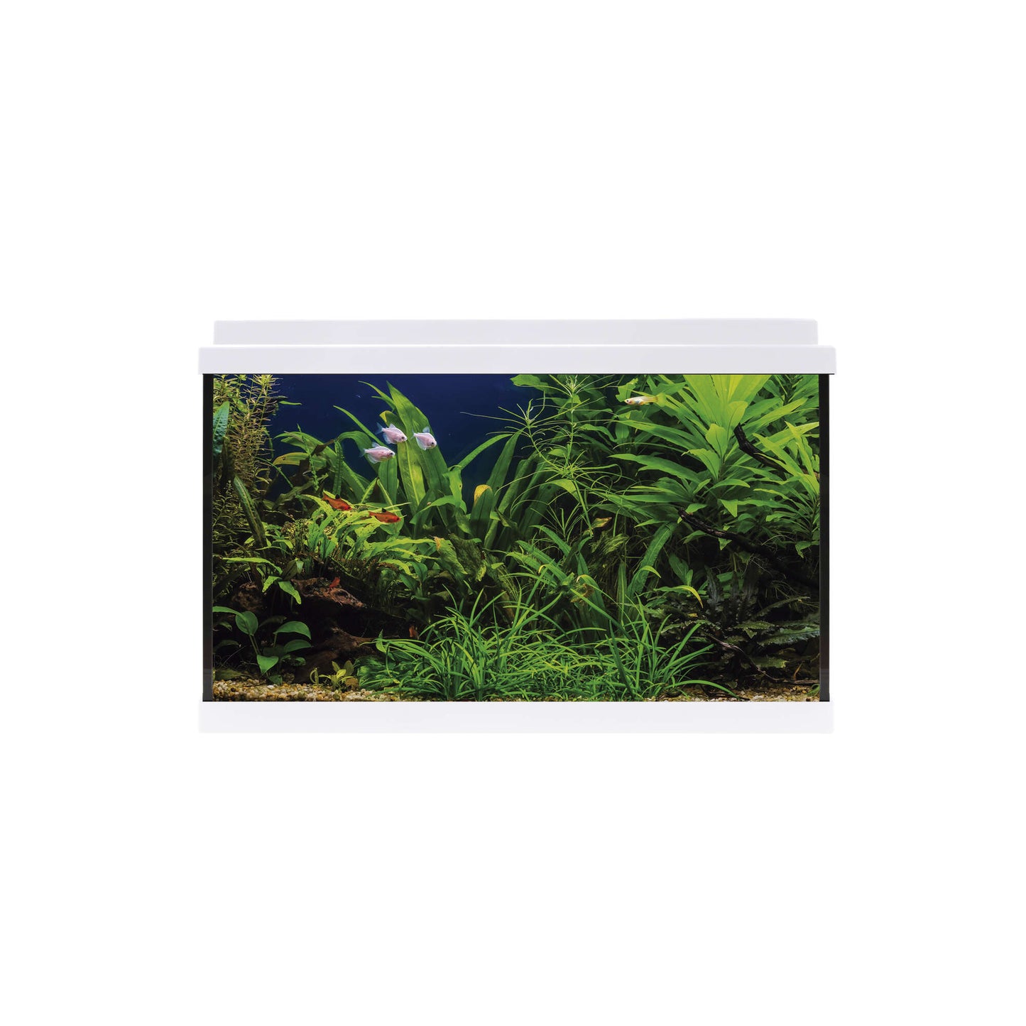 Aquário Kit AQUA LED 64L Branco 🐠