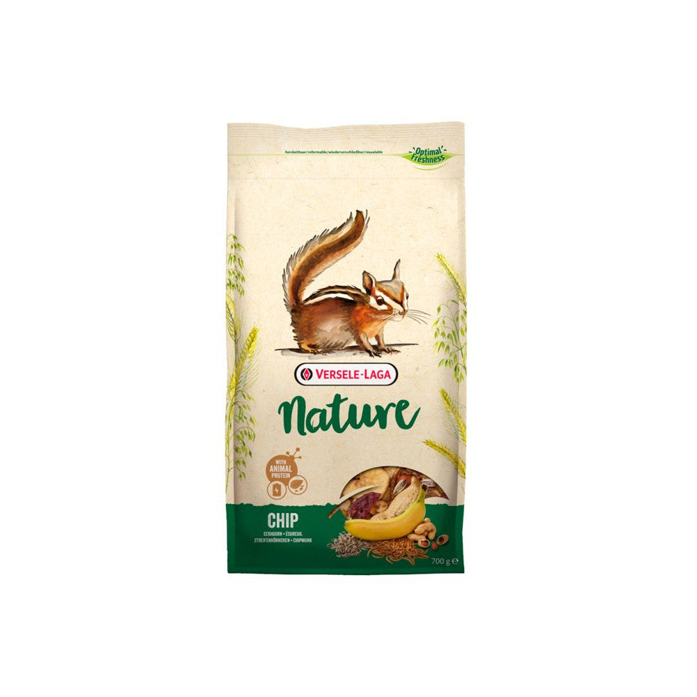 NATURE - Chip 🐿️