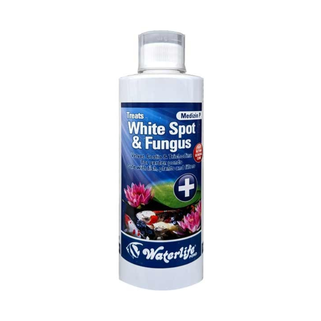 Waterlife - Medizin P