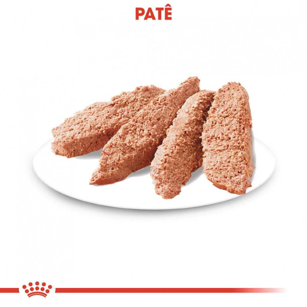 Royal Canin Urinary Care Adult - Alimento em patê para cão com sensibilidade urinária 85g