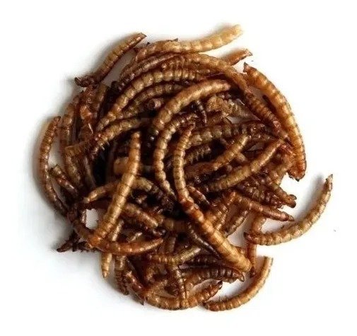 Amandi mealworms 10 gr