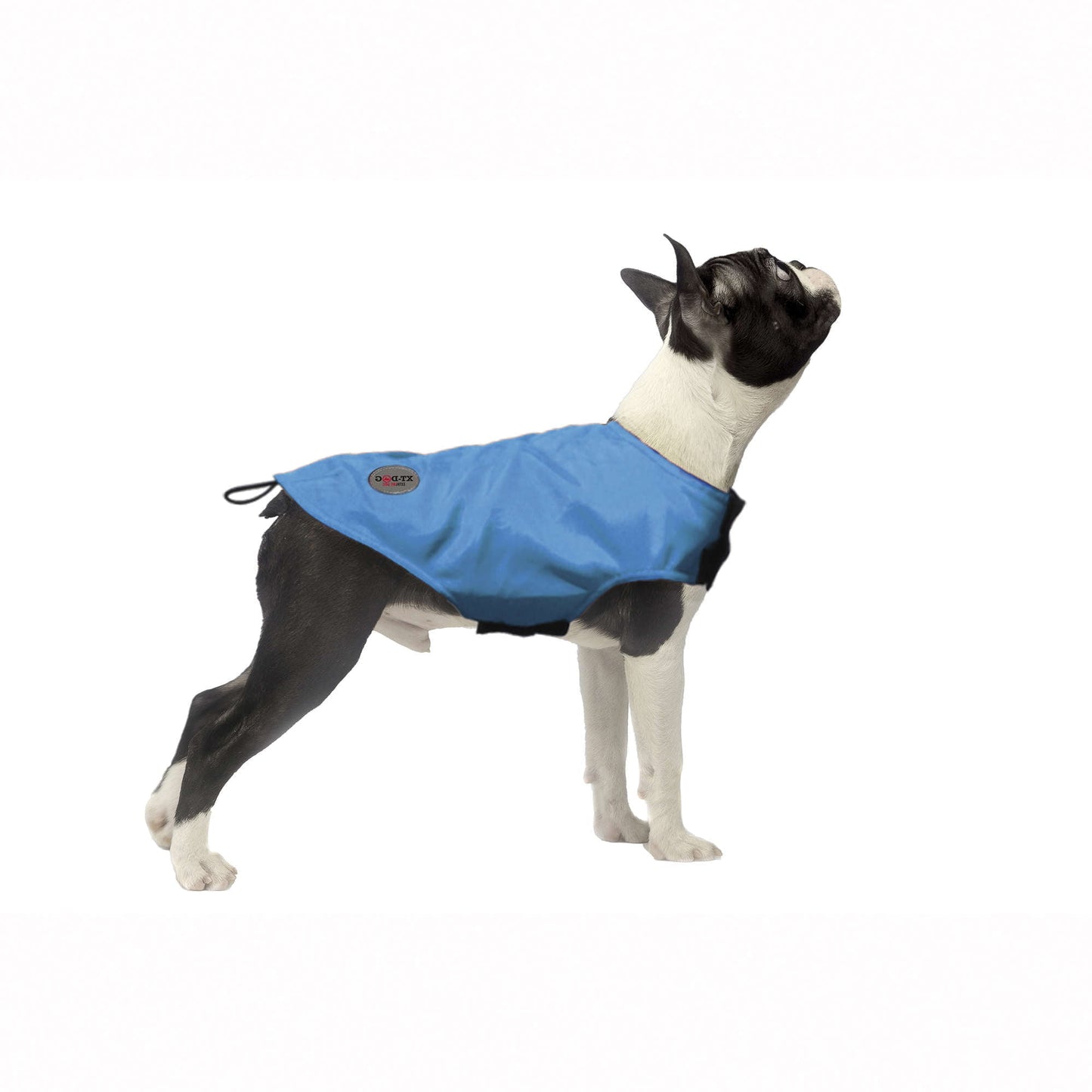 Capa de Chuva XT-DOG Rain