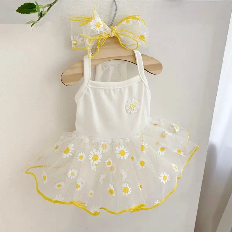 Vestido de Verão 🌼🐾