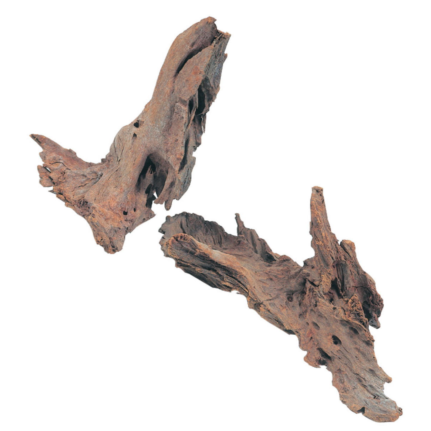 Madeira Mangrove Natural para Aquários e Terrários 🌿