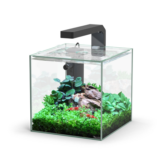 KUBUS 5L LED