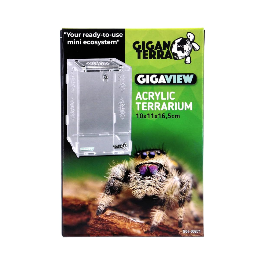 Terrário de Acrílico