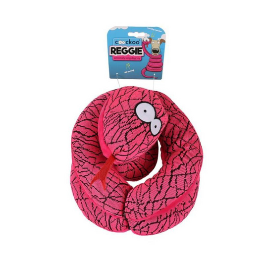 Brinquedo Coockoo REGGIE