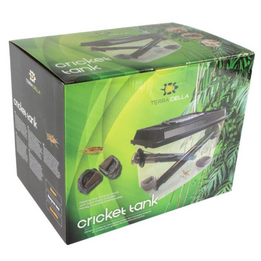 🦗 Caixa para Grilos – Terra Della