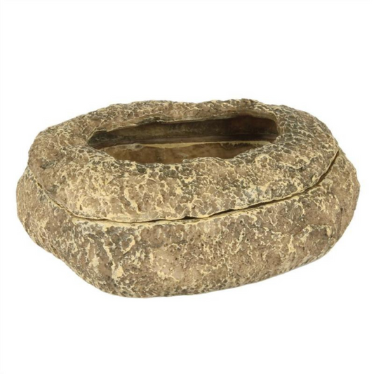 Decoração Mealworm Dish – Poliresina Realista 🪱🐟