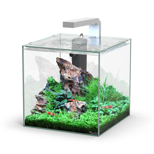 KUBUS 10L LED