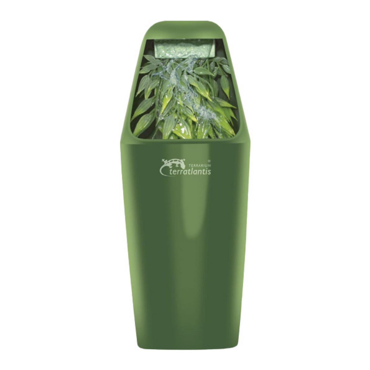 Fonte  para Répteis 💧