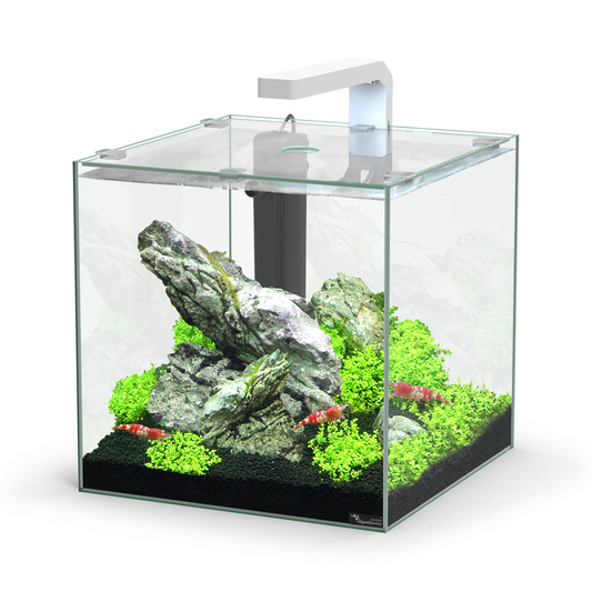 KUBUS 33L LED