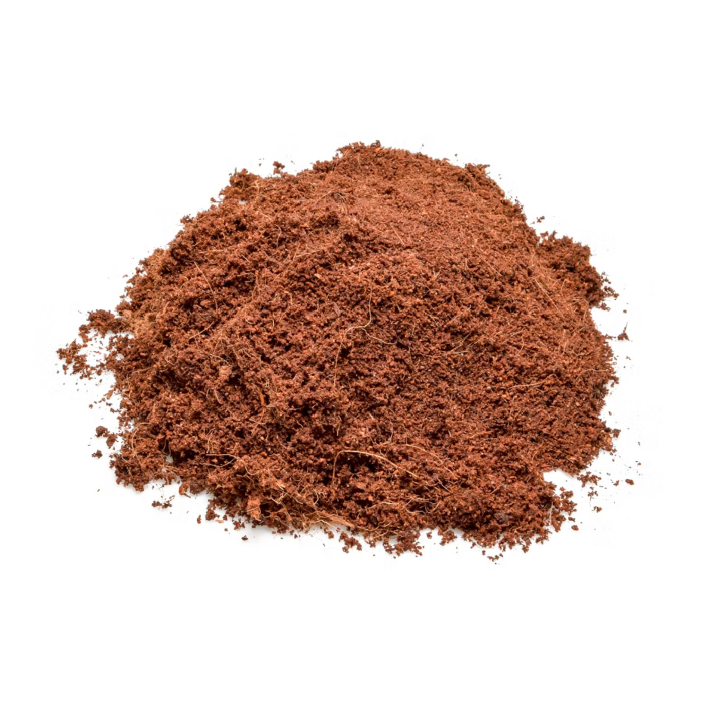 Gigacoco