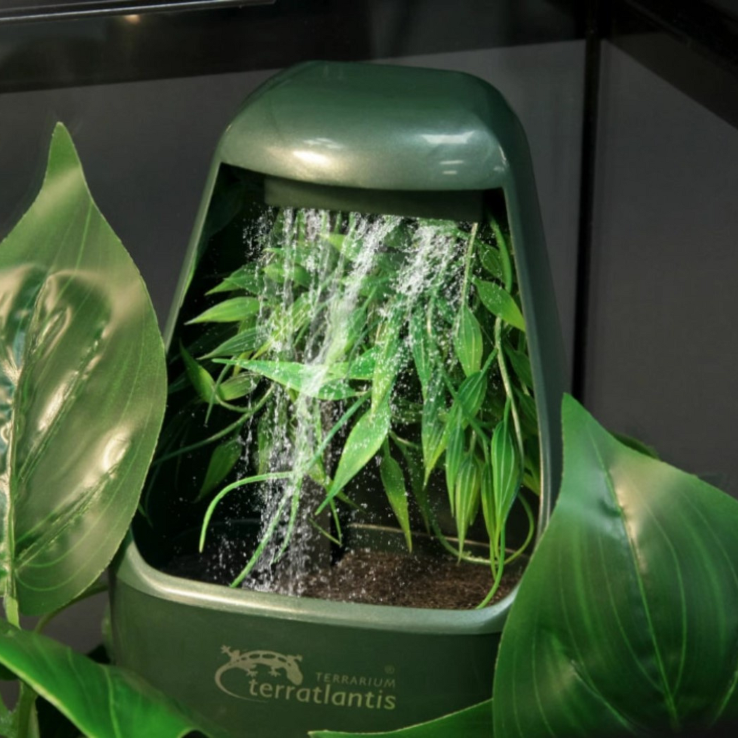 Fonte  para Répteis 💧