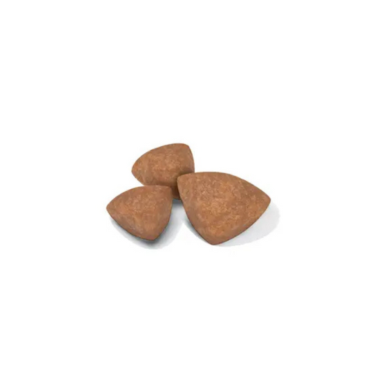 Royal Canin Mini Puppy