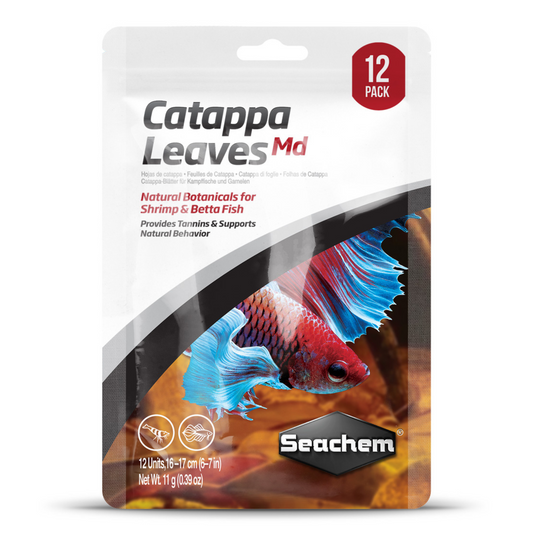 🍂 Folhas de Catappa – Médias