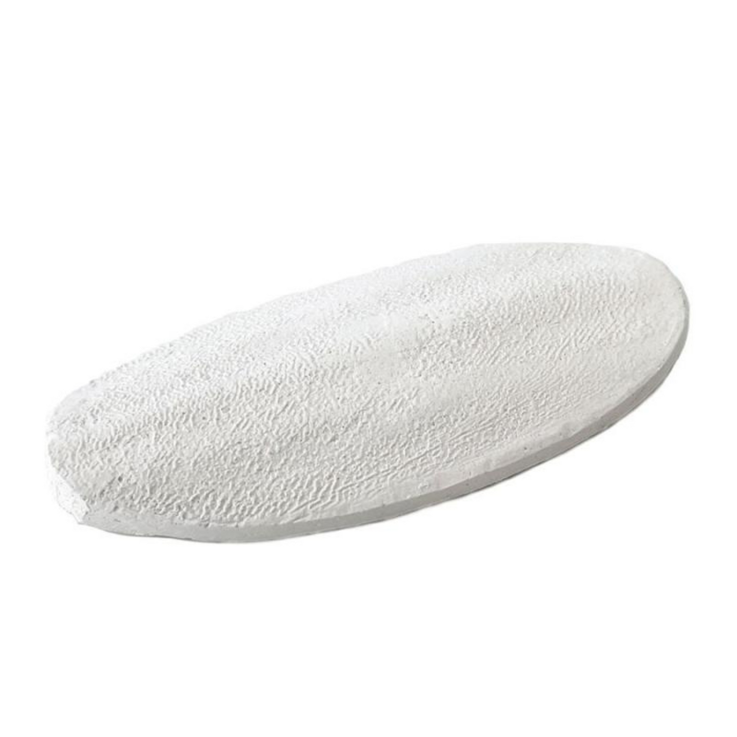 Calcium Bone - Sépia para Répteis  🦎🐢