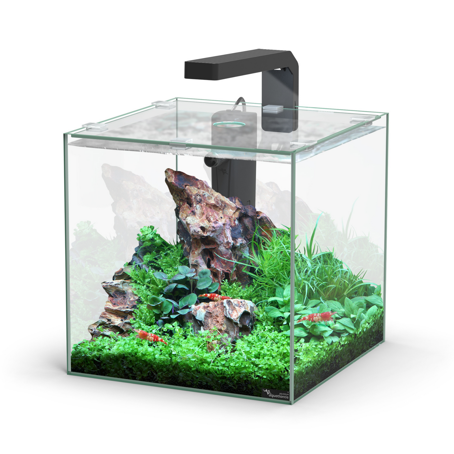 KUBUS 10L LED